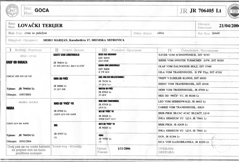 goca
